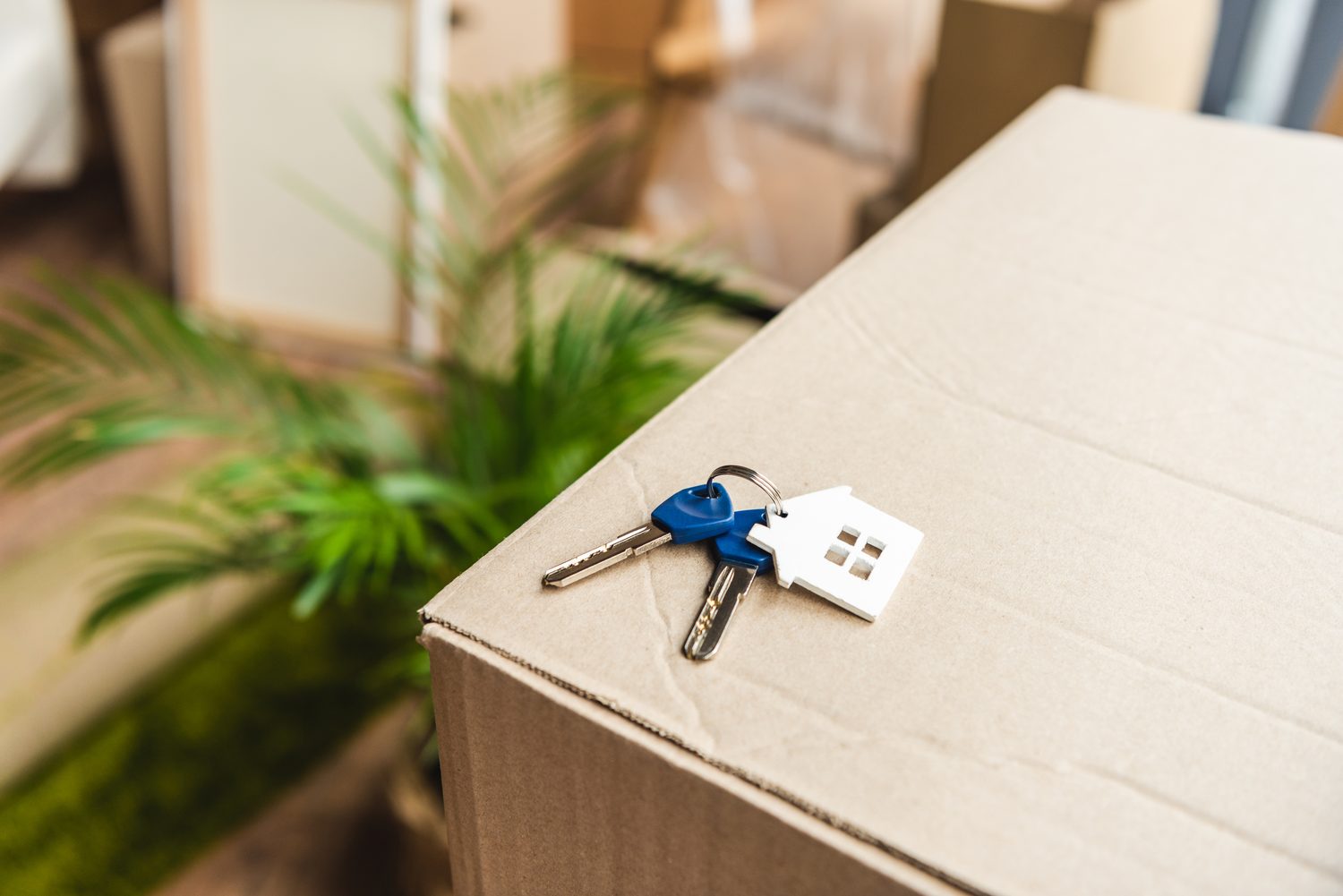 Umzugskartons und Wohnungsschlüssel bei einem Wohnungswechsel